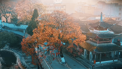 廊桥古韵浓 乌桕秋色美